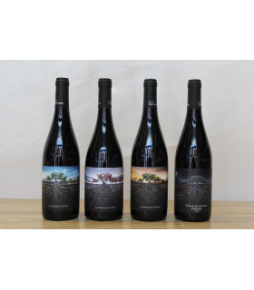 Progetto Garnachas | Pacco Vini Garnacha Moncayo, Aragón, Priorat e Pirenei