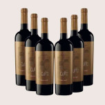 Culto Tinto Alta Expresión DOCa Rioja - Kiste mit 6 Flaschen | Online kaufen