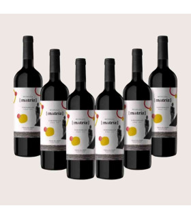 Kiste mit 6 Flaschen Mabeluca Matriz Roble DO Ribera del Duero
