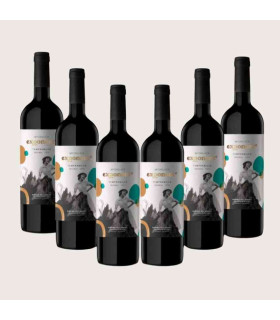 Box 6 Bottles Mabeluca Exponente Crianza DO Ribera del Duero - Buy Online