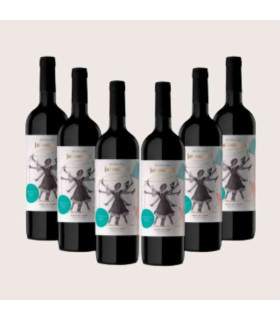 Kiste mit 6 Flaschen Mabeluca Absoluto Reserva DO Ribera del Duero
