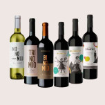 Set Esclusivo di Vini: Rioja e Ribera del Duero | Iberian Market