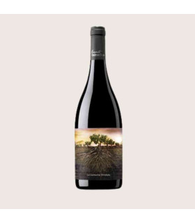 A Garnacha Olvidada de Aragón 75 cl | Vinho Tinto DO Calatayud | Iberian Market