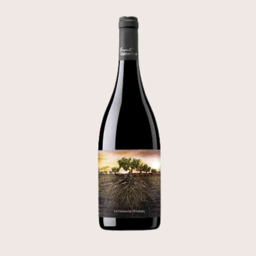 La Garnacha Olvidata di Aragón 75 cl | Vino Rosso DO Calatayud | Iberian Market