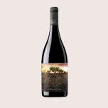 A Garnacha Olvidada de Aragón 75 cl | Vinho Tinto DO Calatayud | Iberian Market
