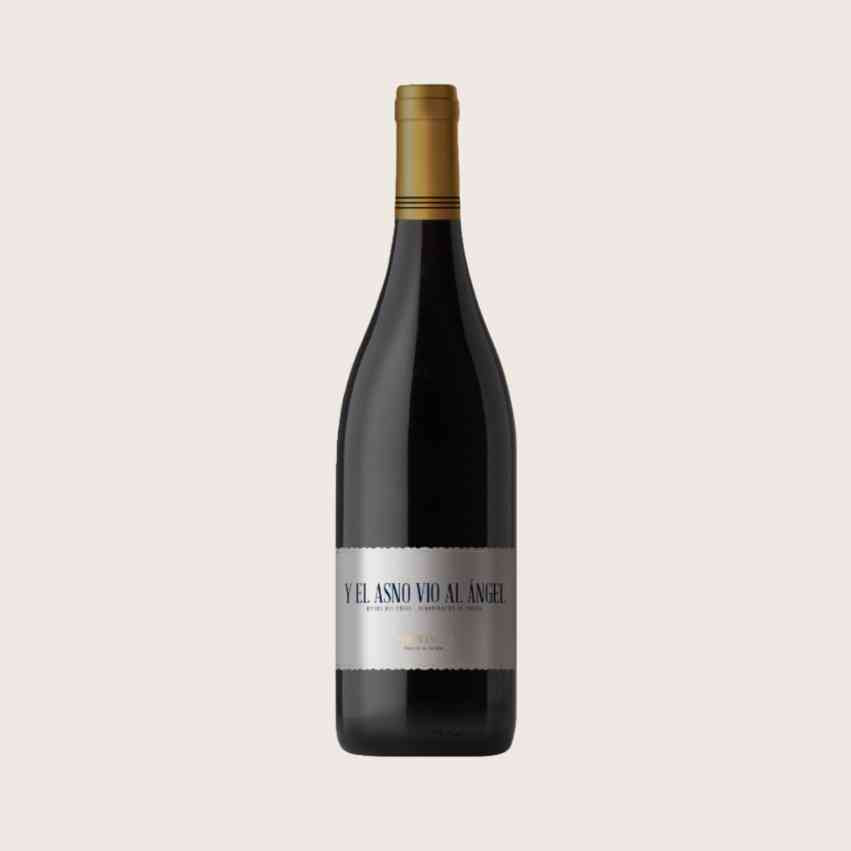 Kup El Asno i El Ángel Magnum DO Ribera del Duero | Wino Czerwone 1,5 L