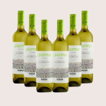 Compre Dilema Verdejo DO Rueda - Caixa de 6 Garrafas de Vinho Branco Fresco