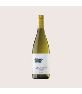 Maetierra Atlantis Albariño DO Rías Baixas 75cl