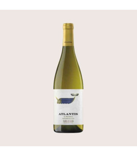 Maetierra Atlantis Hondarrabi zuri DO Txacoli de Álava 75cl