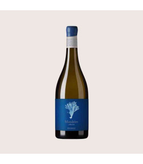 Kup Silandeiro Albariño DO Rías Baixas | Wino Bia?e Galicyjskie