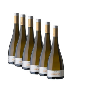 Bia?e Wino Azabache Tempranillo DOCa Rioja Karton 6 Sztuk