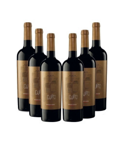 Culto Rotwein von hoher Ausdruckskraft (Signature-Wein) DOCa Rioja Kiste mit 6 Flaschen