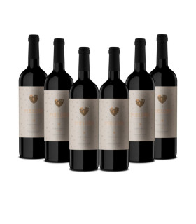 Meloso Tinto Reserva DO Ribera del Duero Skrzynka 6 butelek