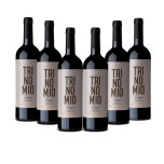 Wino Czerwone Mabeluca Trinomio Crianza DOCa Rioja Skrzynka 6 butelek