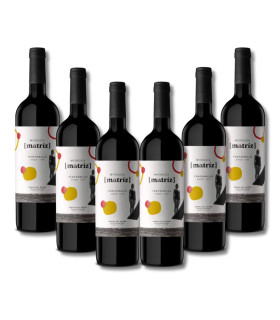 Mabeluca Matrix DO Ribera del Duero