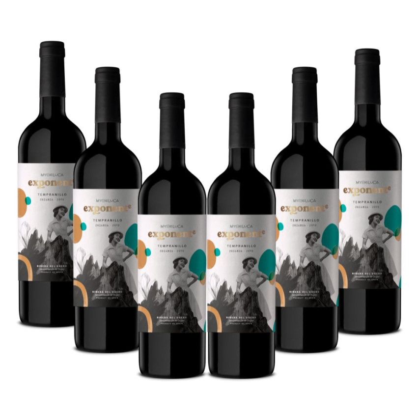 Red wine Exponente Crianza D.O. Ribera del Duero 6-Bottle box