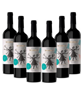 Skrzynka 6 Butelki Mabeluca Absoluto Reserva DO Ribera del Duero