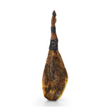 Szynka 5 Jotas o wadze 6-7 kg/sztuka