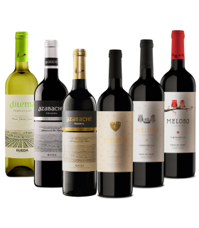 Conjunto Sortido de Vinhos