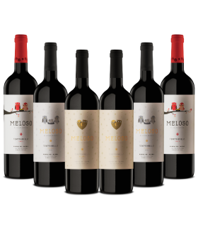 Conjunto de Vinhos Meloso