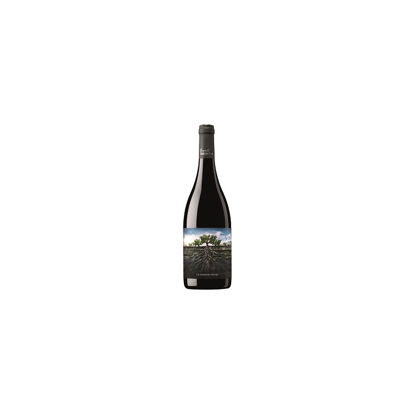 Die Garnacha Salvaje del Moncayo 75 cl | Rotwein DO Campo de Borja | Iberian Market