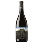 The Wild Garnacha of Moncayo 75 cl | Red Wine DO Campo de Borja | Iberian Market