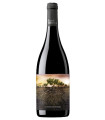 Progetto Garnachas La Olvidada di Aragón DO Calatayud 75cl