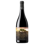 La Garnacha Olvidata di Aragón 75 cl | Vino Rosso DO Calatayud | Iberian Market