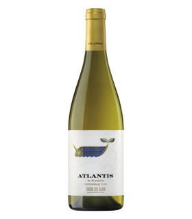 Maetierra Atlantis Hondarrabi Zuri 75 cl | Vin Blanc DO Txakoli d'Álava | Iberian Market